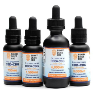 sunny ski 20251225 235828 10.webp