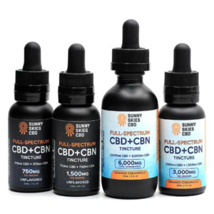 sunny ski 20251225 235828 13.webp